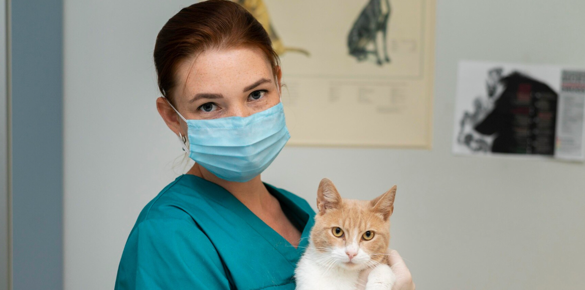 Veterinary